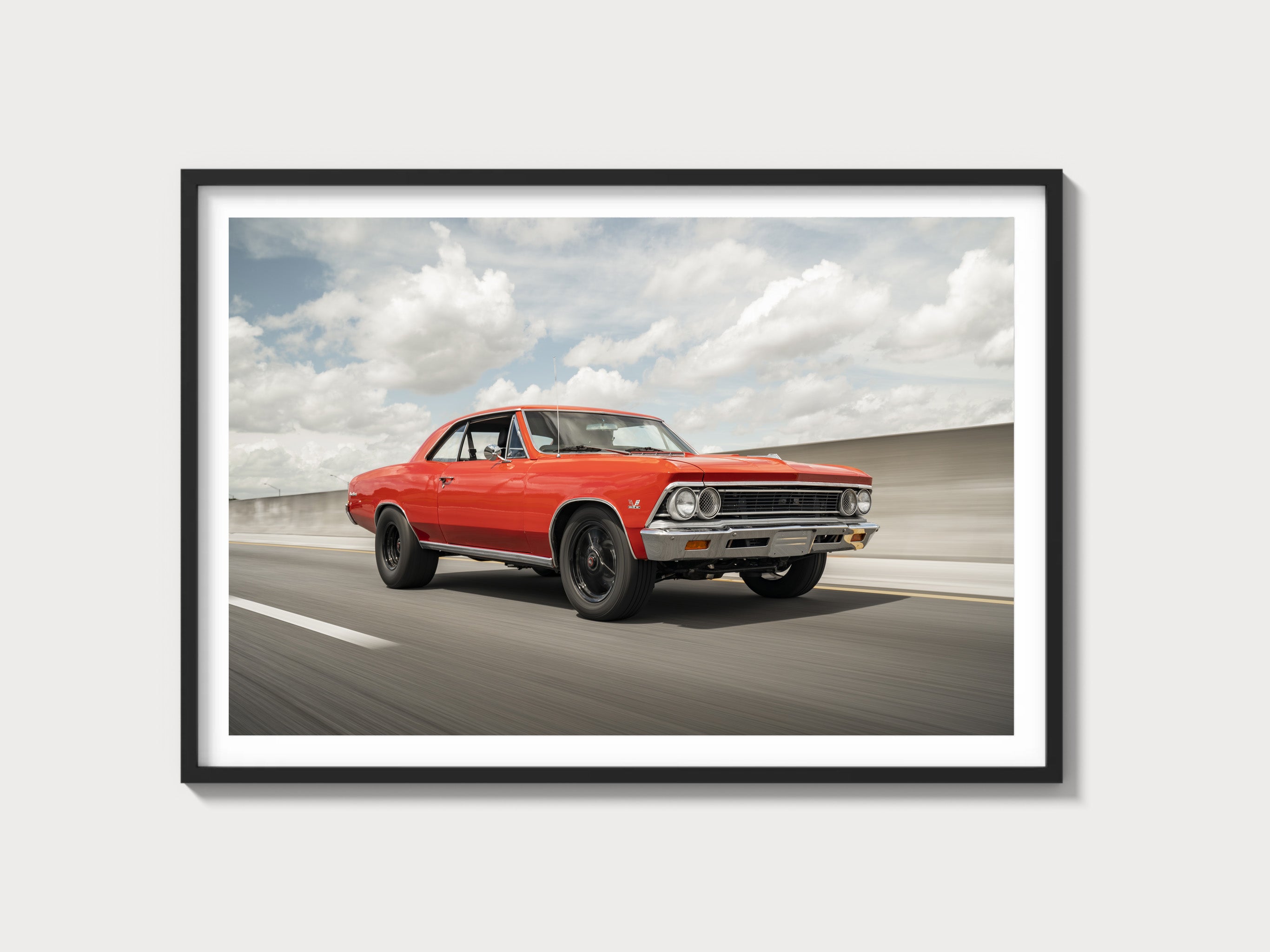 Muscle