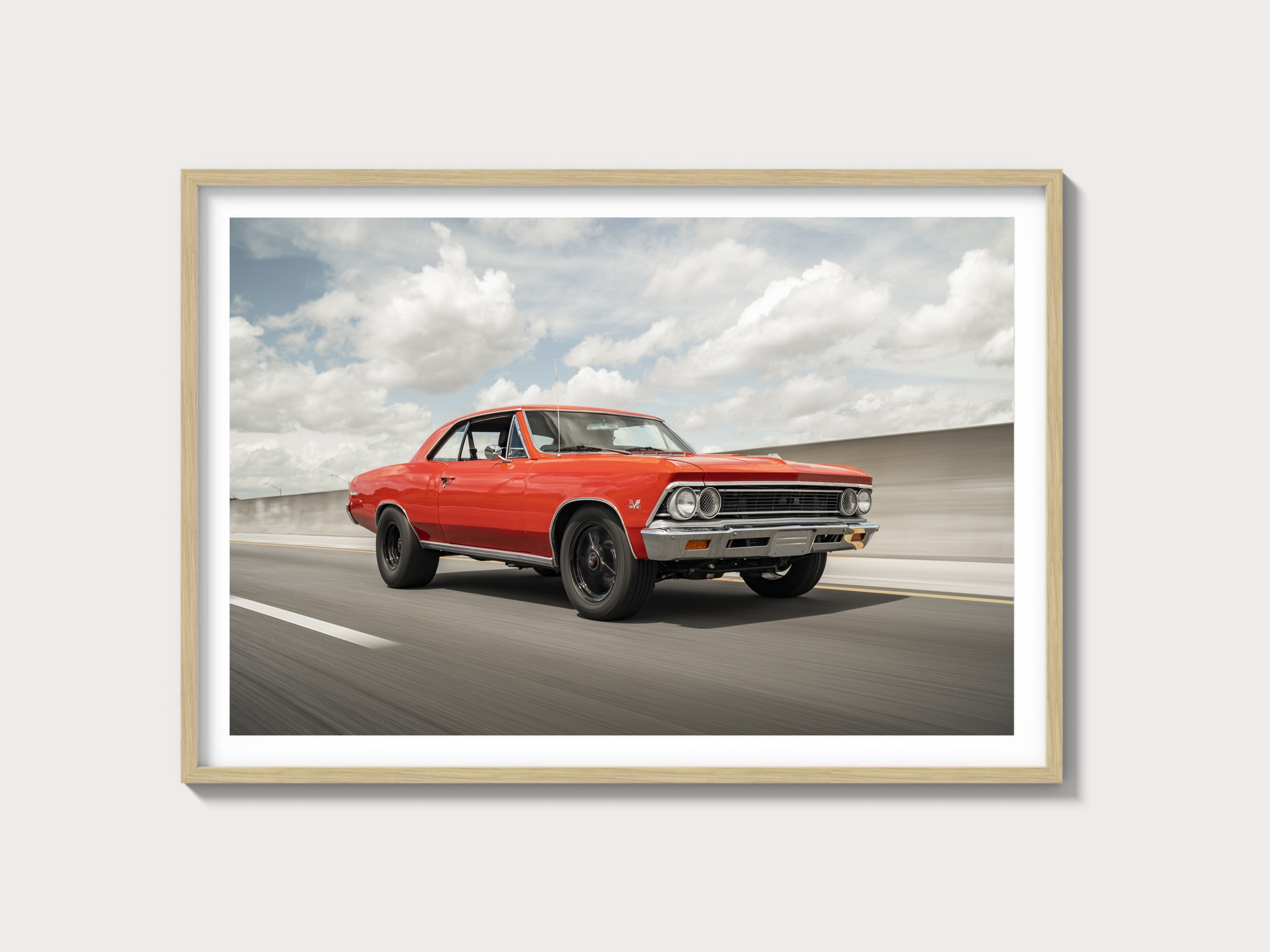 Muscle
