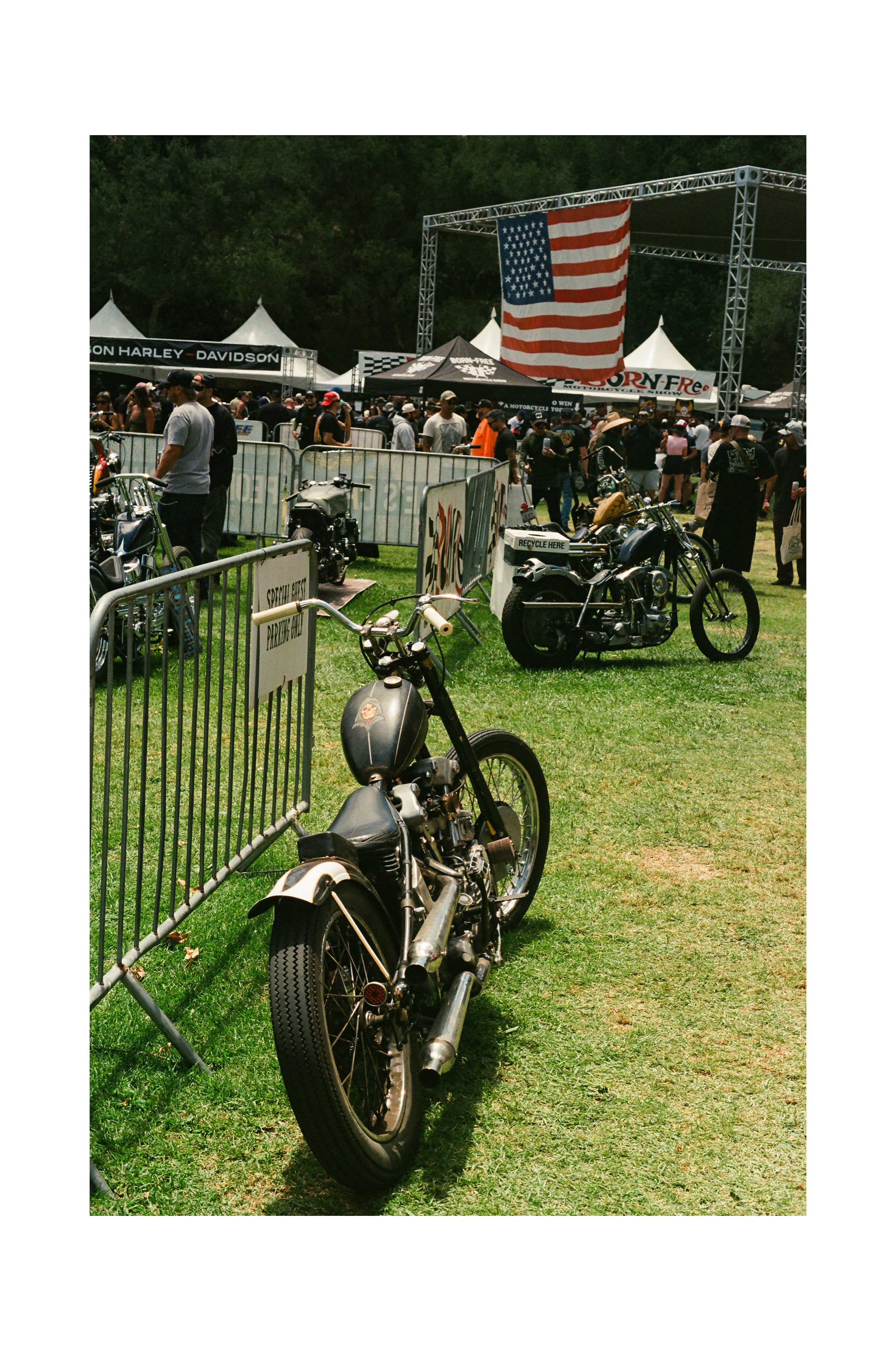 American Chopper - Black frame