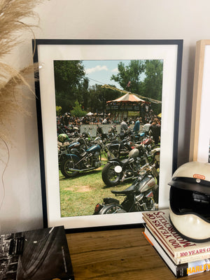 Born Free 17 - Black frame