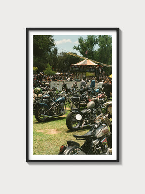 Born Free 17 - Black frame