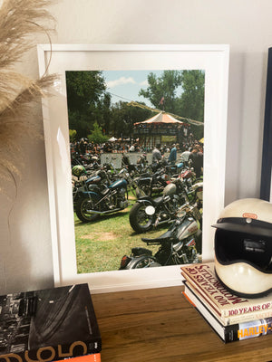 Born Free 17 - Black frame