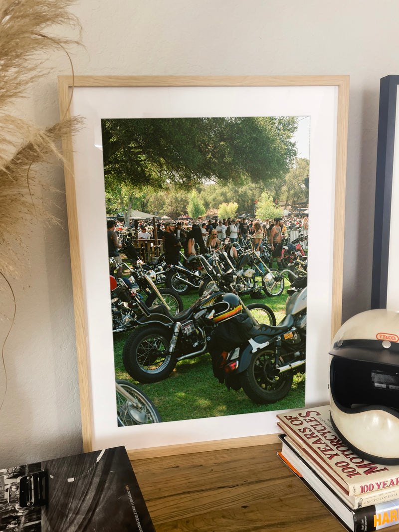 Born Free 17 Vibes - Black frame