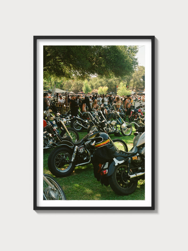 Born Free 17 Vibes - Black frame