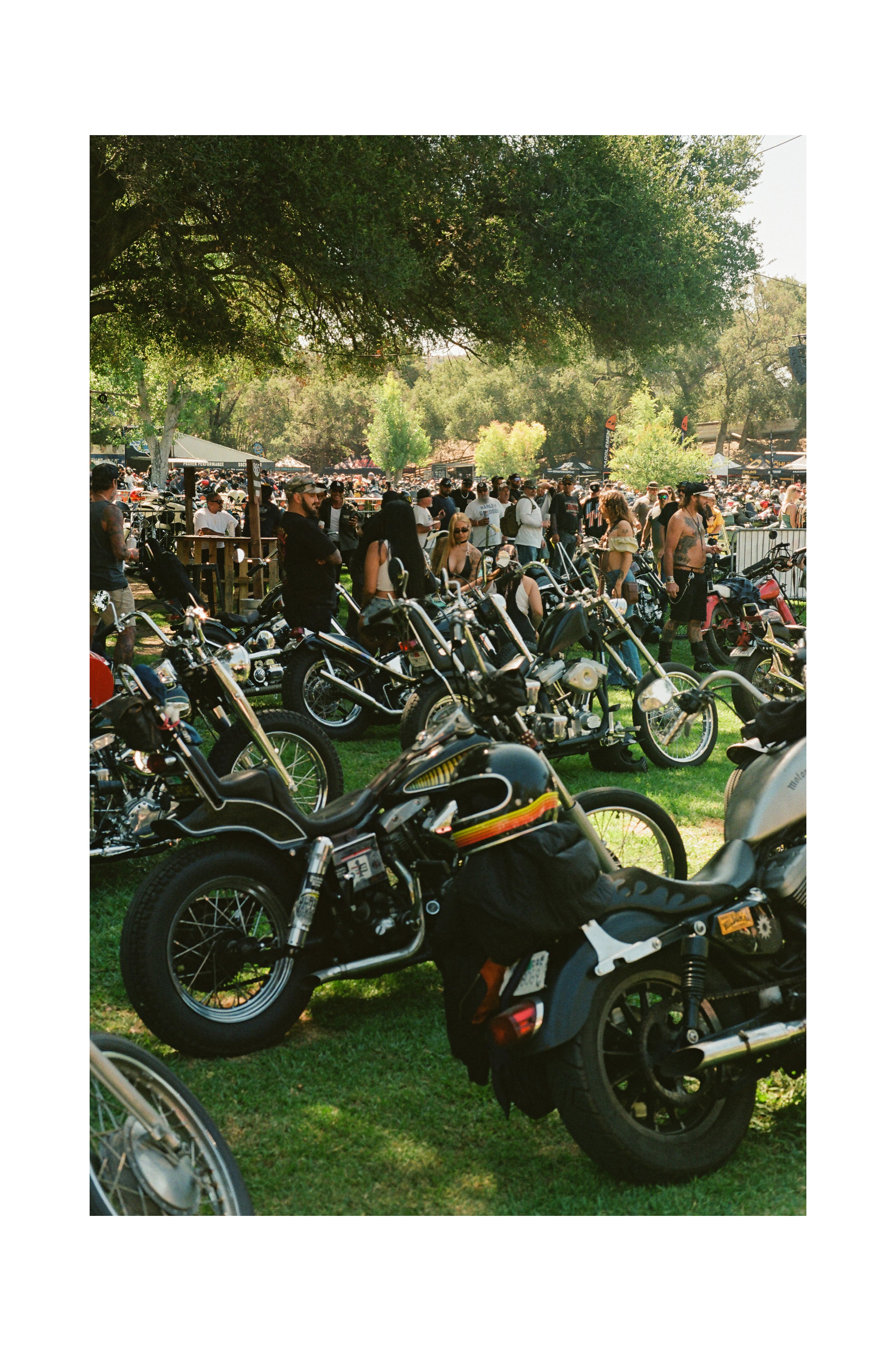 Born Free 17 Vibes - Black frame