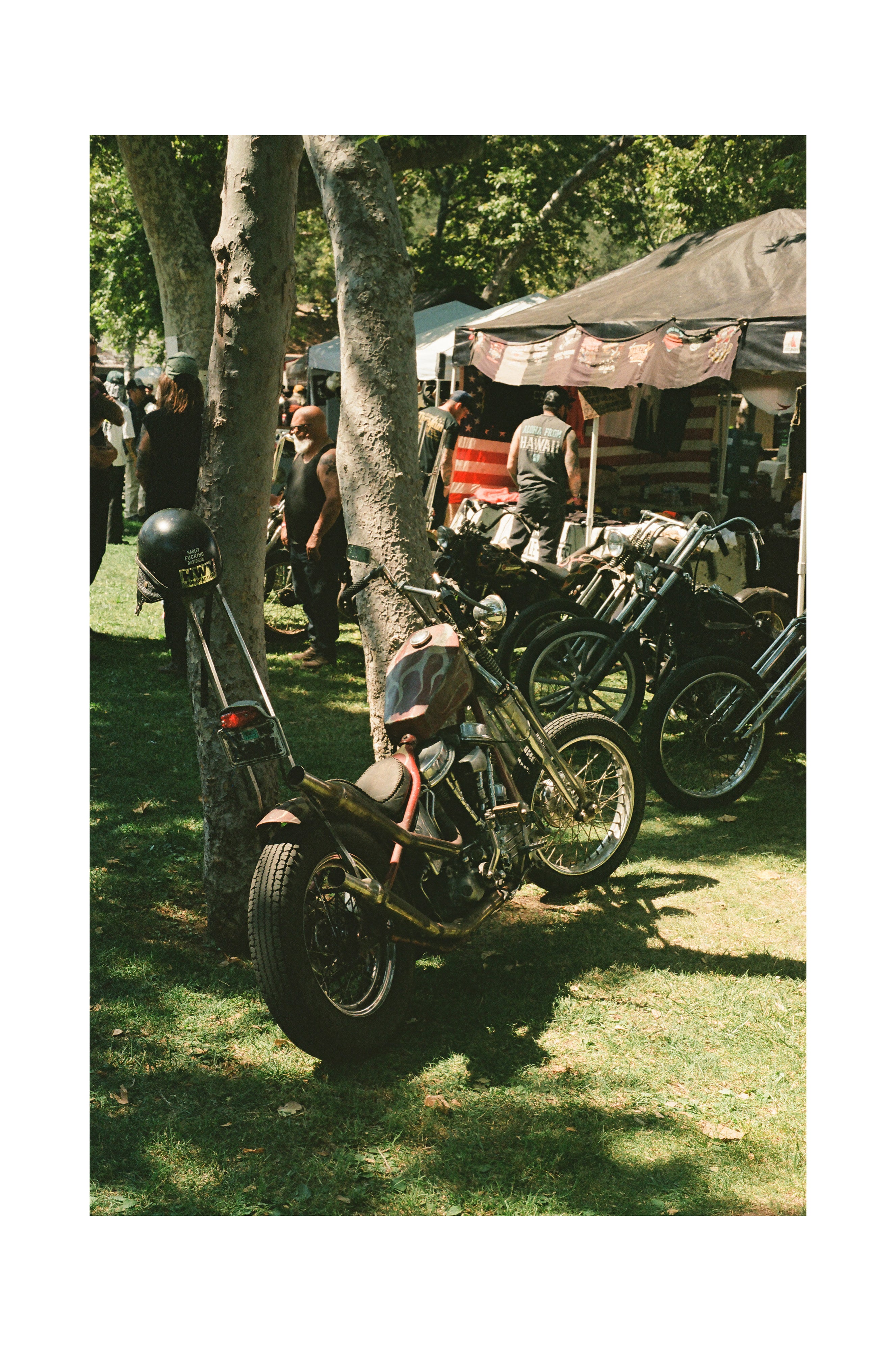 Flamed Coffin Panhead - Black frame