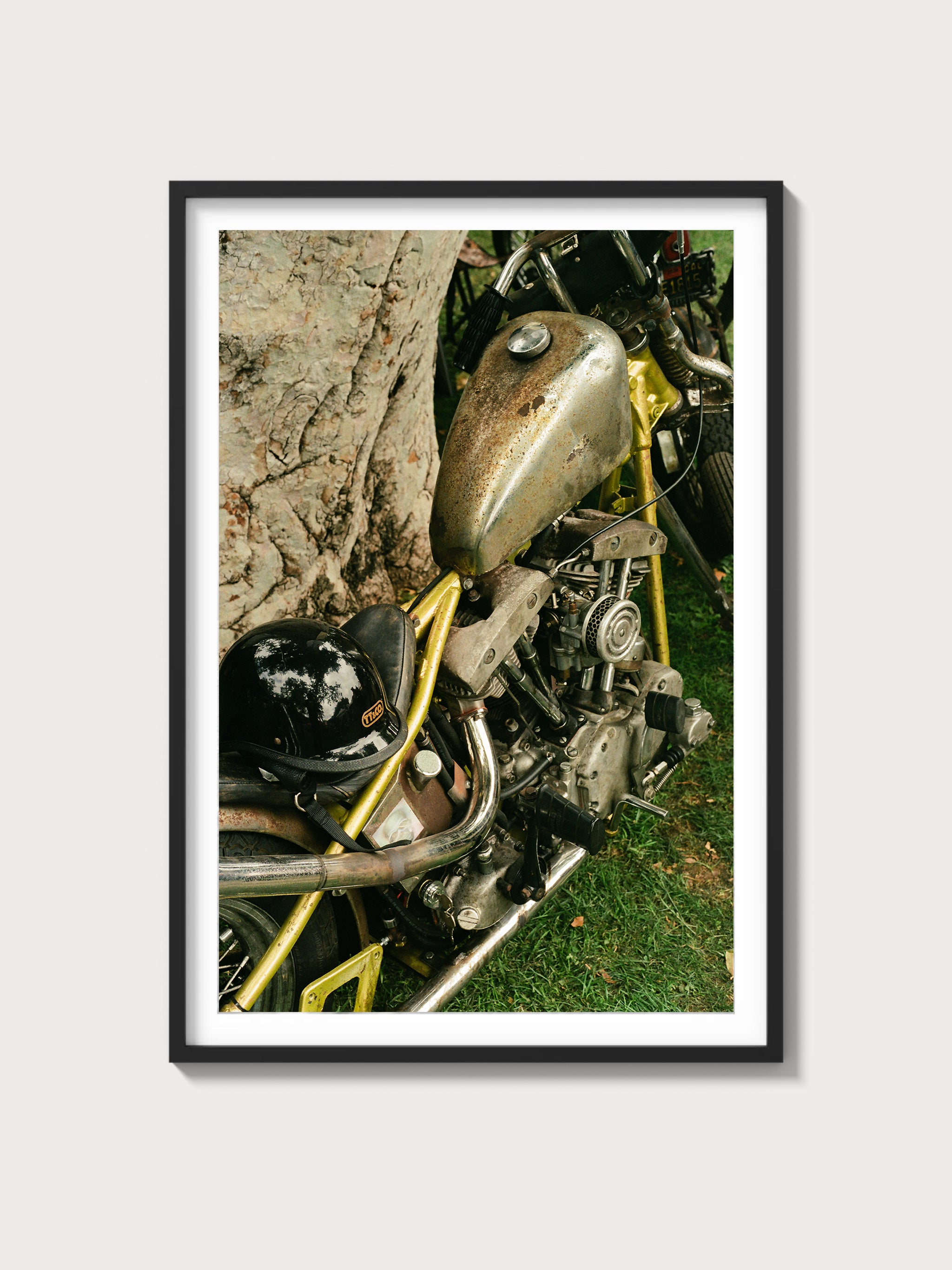 Golden Shovelhead - Black frame