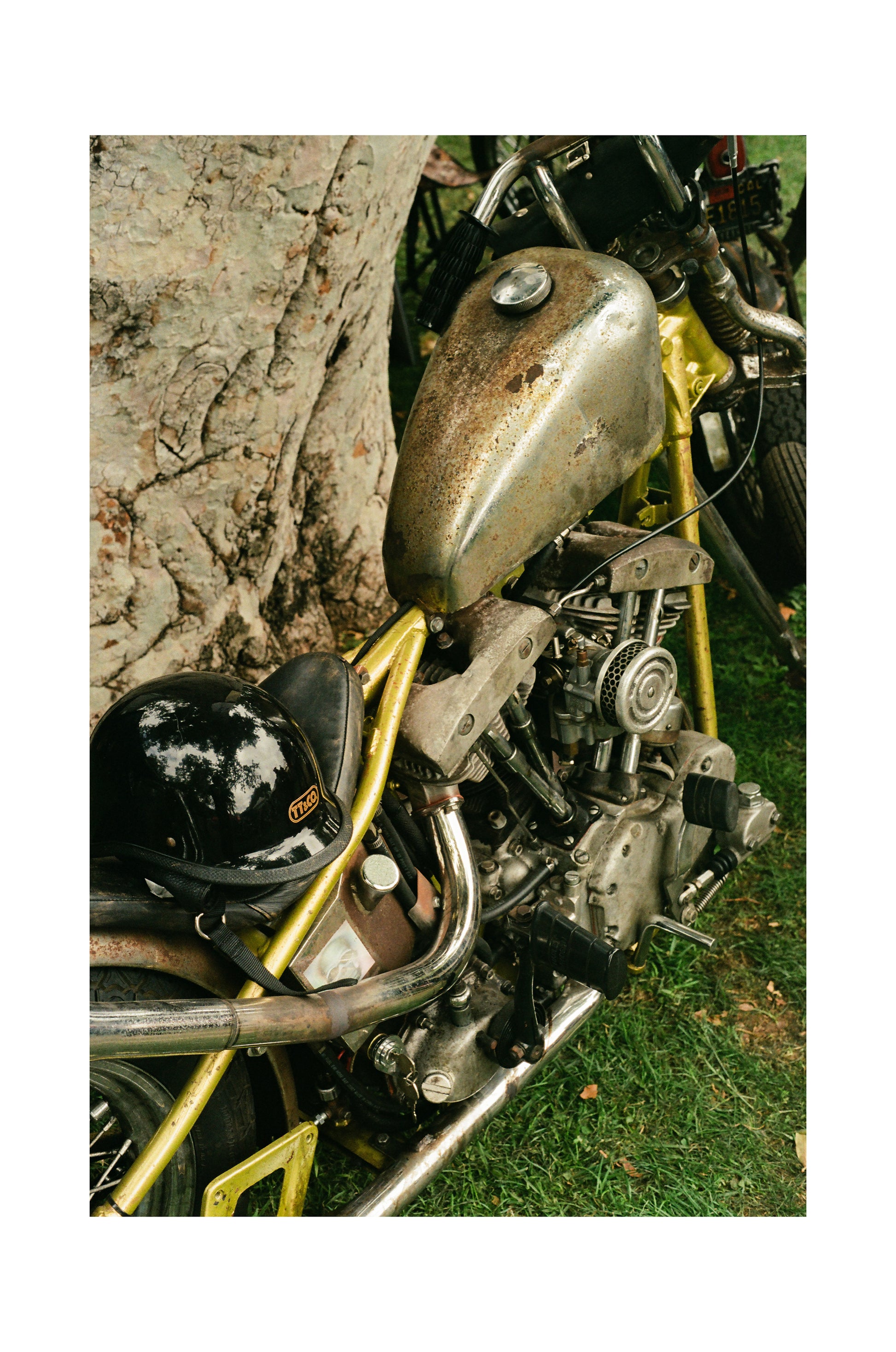 Golden Shovelhead - Black frame