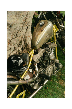 Golden Shovelhead - Black frame