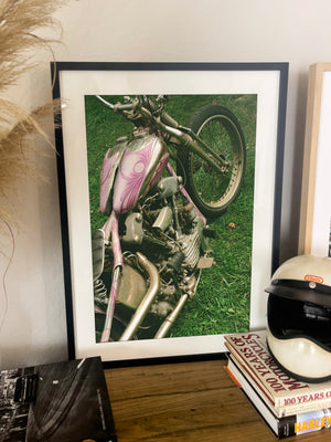 Knucklehead Springer - Black frame