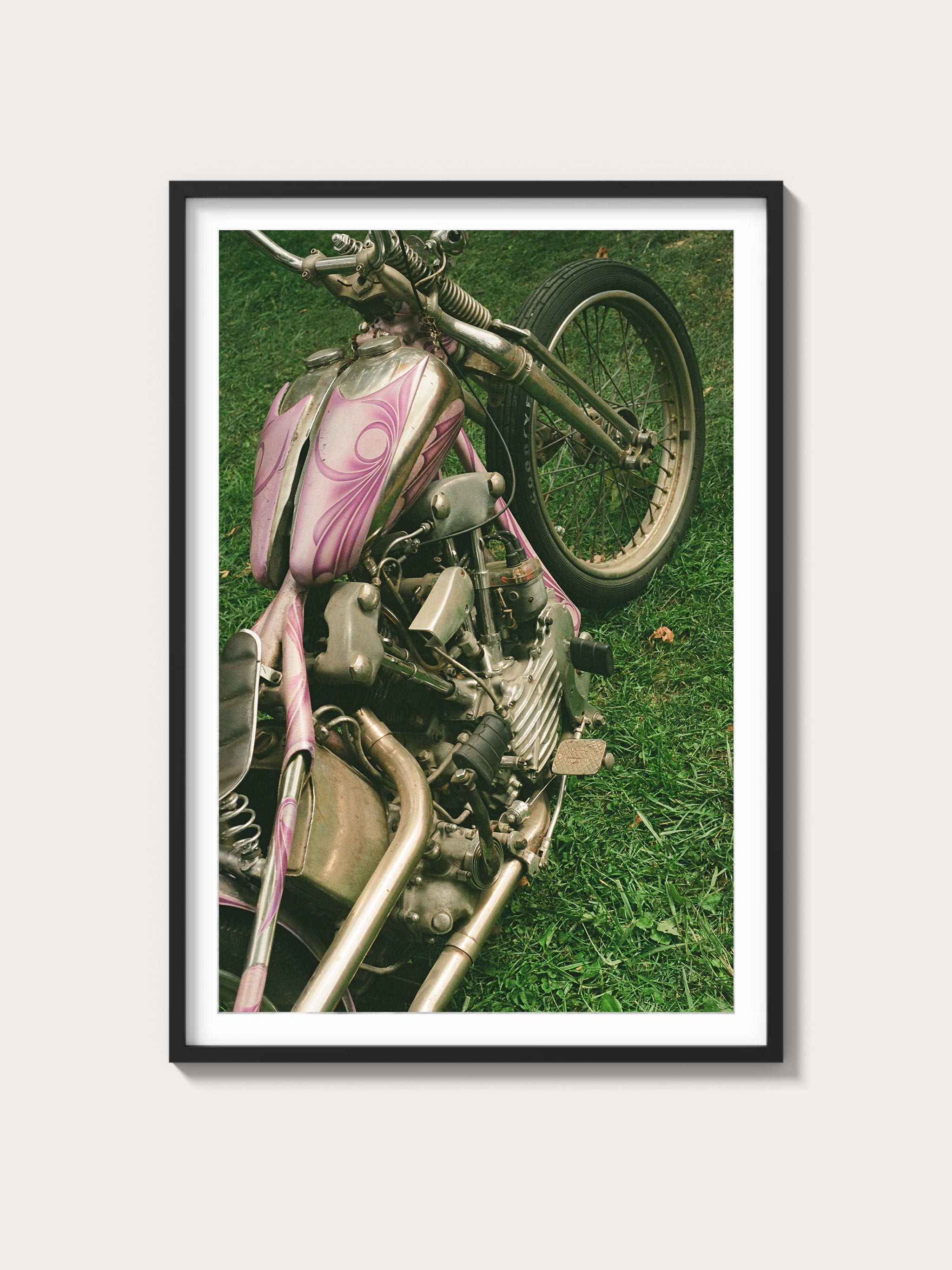 Knucklehead Springer - Black frame