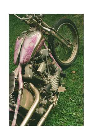Knucklehead Springer - Black frame