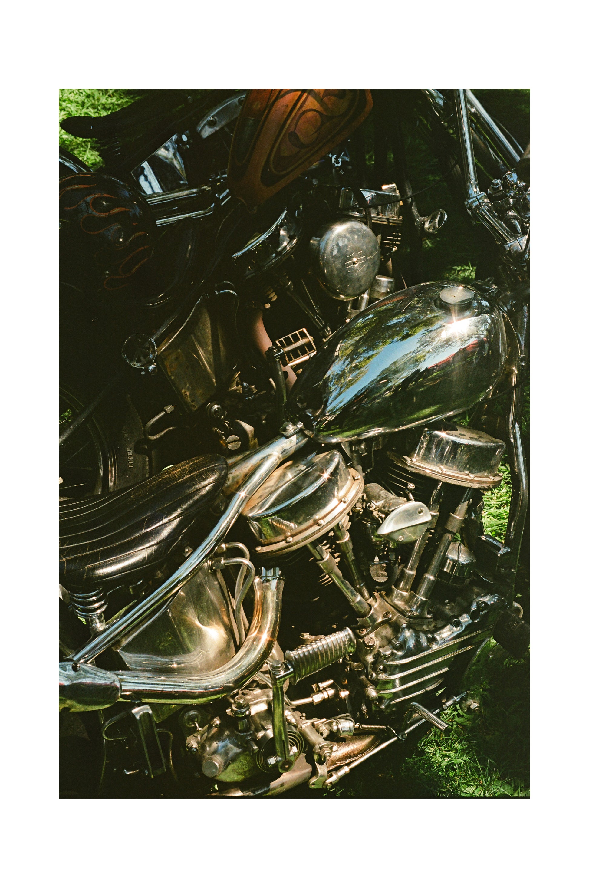 Panhead Brothers - Black frame