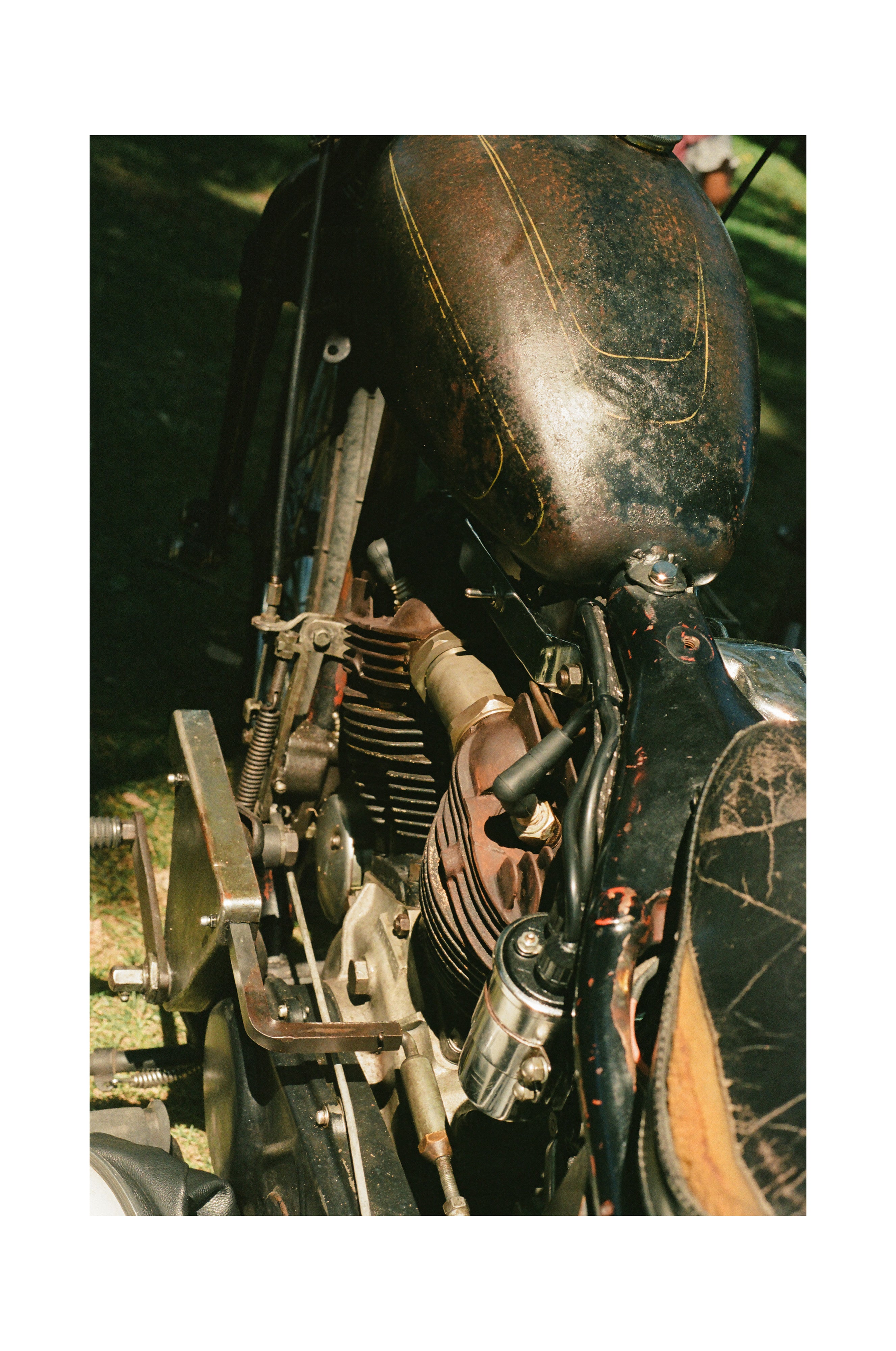 Knucklehead Patina - Black frame