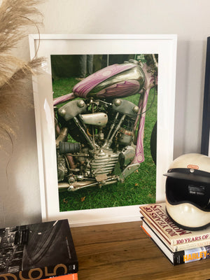 Pink Knucklehead - Black frame