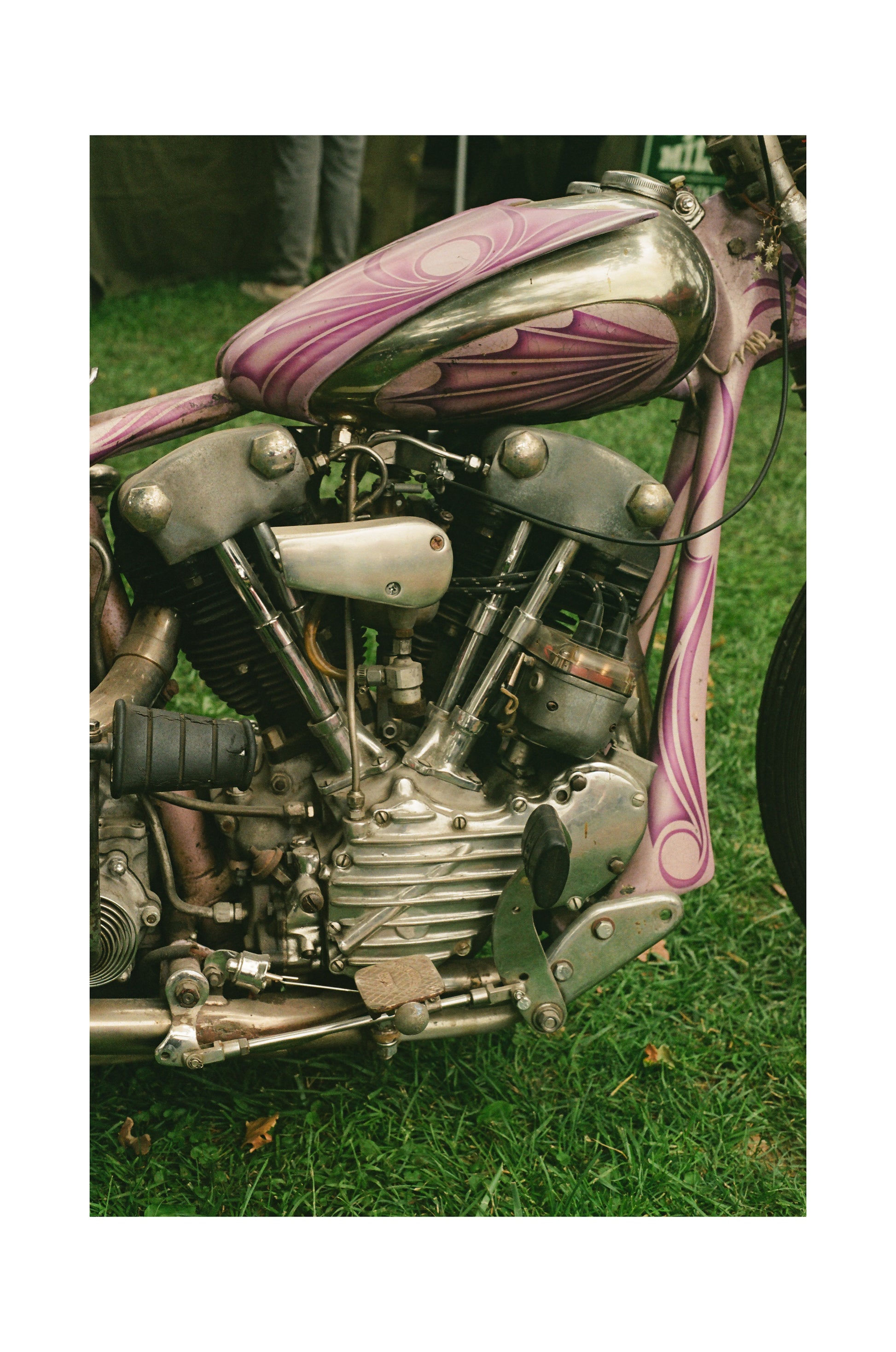 Pink Knucklehead - Black frame