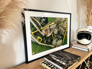 TT&CO X Steels - Black frame