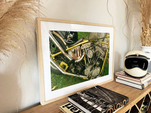 TT&CO X Steels - Black frame