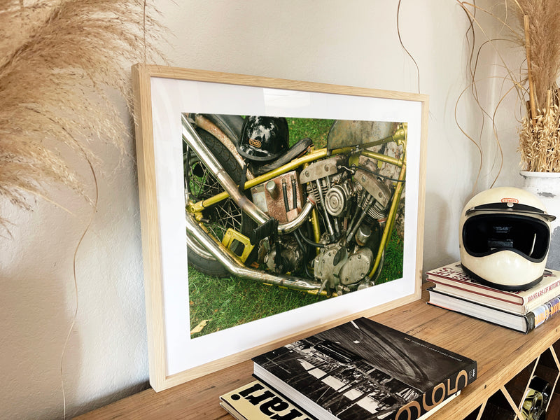TT&CO X Steels - Black frame